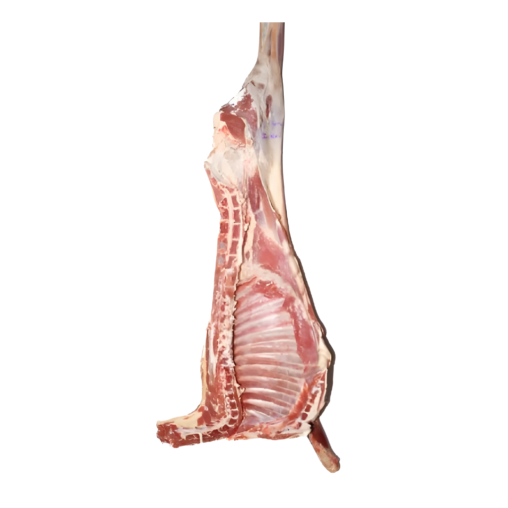 Regular Half Lamb 1 lb buy online USA - 1